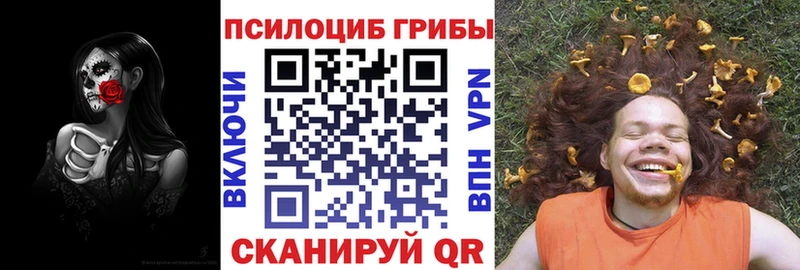 Псилоцибиновые грибы Psilocybine cubensis где продают Хадыженск